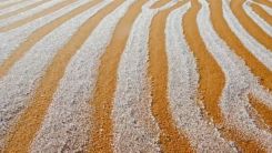 Sahara Desert Experienced Snow For the 4th Time in 42 Years!