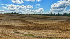 Researchers "Switched Off" This Chemical To Help Roots Penetrate Compact Soil