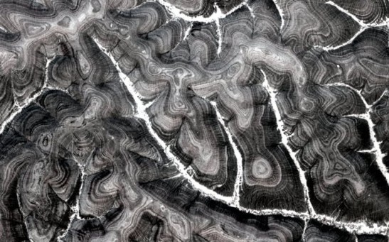 Striped Patterns on the Land Near the Siberian Markha River