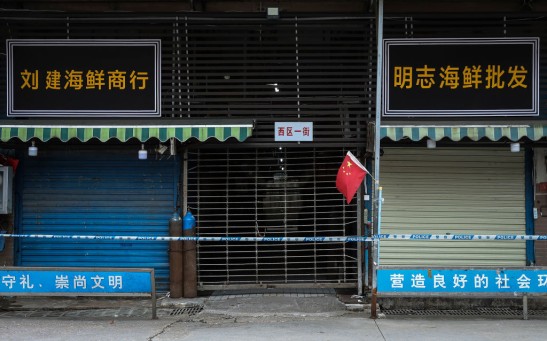 Science Times - COVID-19 Origin: Here’s What WHO Discovered