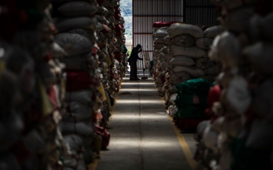 Nicaragua’s Yearly Coffee Harvest Suffers From Hurricanes And Coronavirus Pandemic