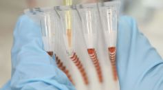 Icon Genetics Provides Technology For Possible Ebola Treatment