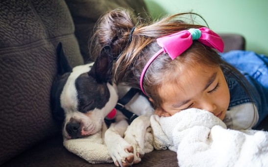 Children Sleeping With Their Dogs Maintain Good Sleep Quality As Those Who Sleep Alone, Debunking Long-Held Belief
