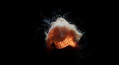 art-dark-abstract-surreal-6807304