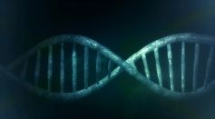 Genes Can Identify, Respond, Filter Coded Information in Signals, Leading to Significant Biotechnology Applications