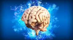 Specific Neurons Responsible for Associative Memory Finally Identified, Filling the Missing Piece of How Brains Create Memories