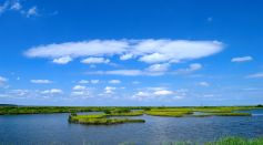 MIT Researchers Explore How Marsh Grass Provide Protection From Devastating Storm Surges Along the Shorelines