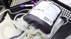 New Mathematical Model Shows Transfusions of Blood Substitutes Can Treat Anemic Patients, Solve Global Shortage