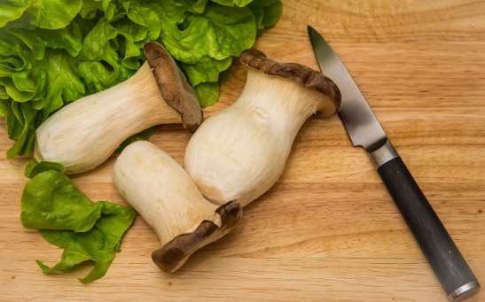 Science Times - Risk of Depression May Be Reduced by The Food We Eat; New Study Suggests Mushrooms May Help Curb Major Depressive Order
