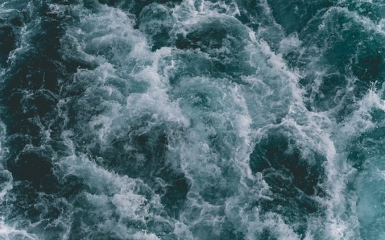 Science Times - Humans May Have Broken the Natural Law Adversely Affecting the Global Ocean