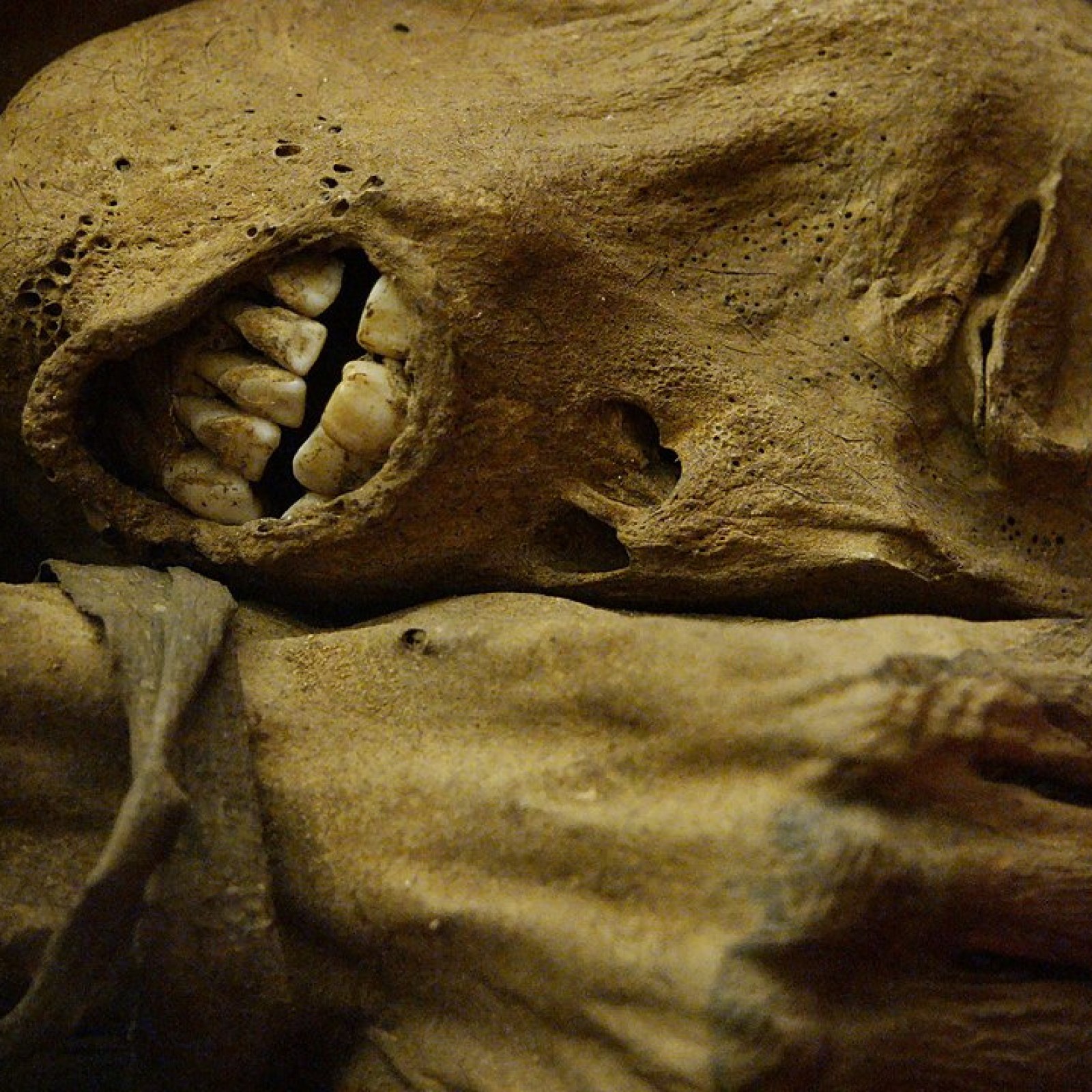 800-Year Old Peruvian Mummy Unearthed Rope-Bound in Cajamarquilla