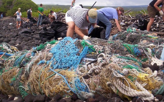 Marine debris cleanup near South Point on the Island of Hawaii
