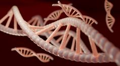 DNA Is in the Air: Scientists Propose New Way of Tracking Endangered Animals in the Wild