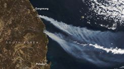 Wildfires Char South Korea