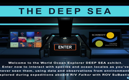 THE DEEP SEA