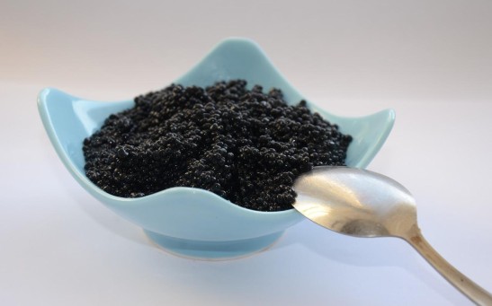 Scientists Have Grown 'Clean' Caviar in Just 40 Days! Hailing It As the First Lab-Grown Variety
