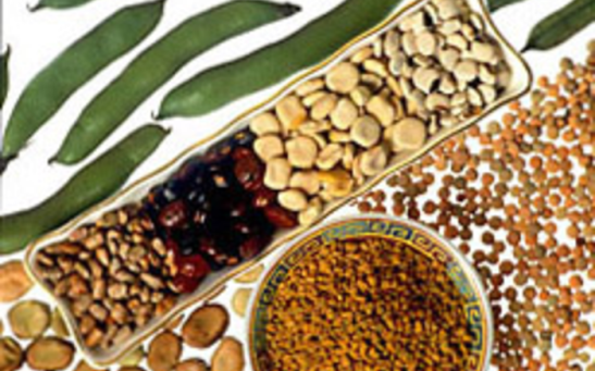 Foods high in soulable fiber (IMAGE)