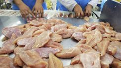 Concerns Over Bird Flu Continues To Effect Thailand's Chicken Industry