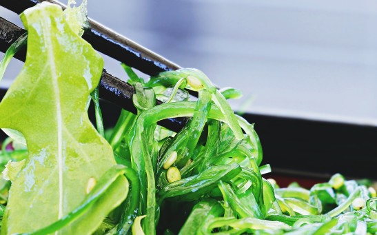 Scientists Used Algae As Living Power Cell For A Basic Computer for Six Months: How Was It Possible?