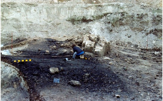 Salorno—Dos de la Forca (Adige Valley, Northern Italy): A unique cremation site of the Late Bronze Age