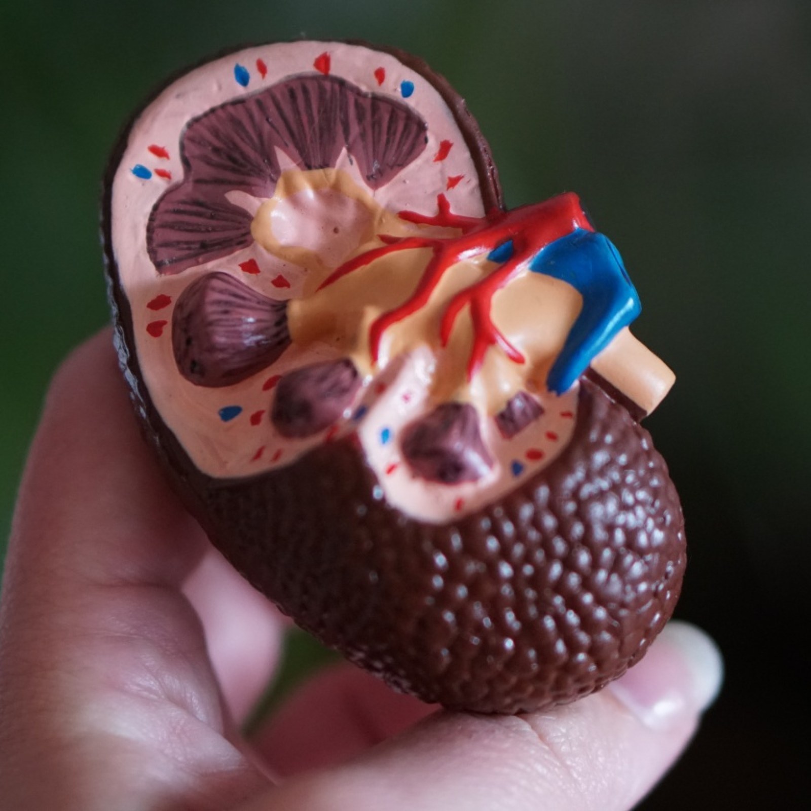 tirzepatide for kidney disease Join a trial on | Headlands Research - AMCR Institute posted on the topic Tirzepatide Reduces Progression of Chronic