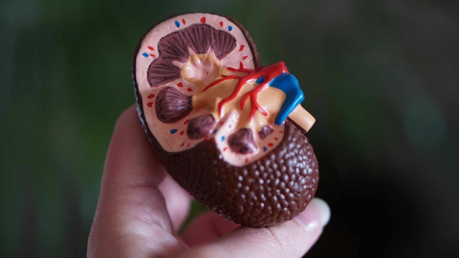 tirzepatide kidney damage chronic disease trial Join a on for | Headlands Research What is the recommended dosing