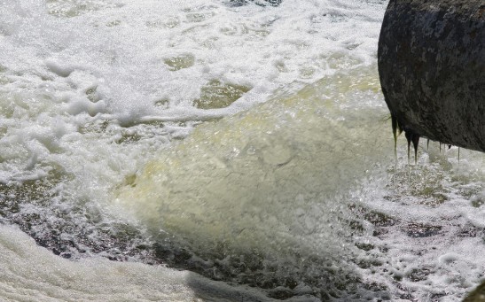 Poliovirus Detected in Sewage Samples in the UK For the First Time in 40 Years; Should the Public Be Worried?