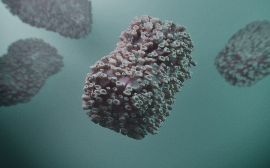 Santa Clara County Shows Monkeypox Disproportionately Affects Latino Gay, Bisexual Men