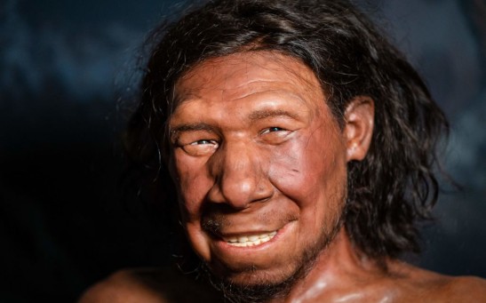 Neanderthal Man
