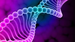 The Tejeda Equation: A Medical Breakthrough for The Reversal of Endometriosis