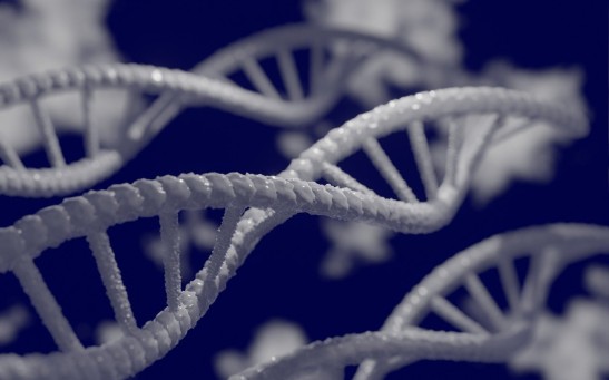 Are Your Children Hearing Voices or Seeing Ghosts? Study Says Psychosis in Children is All in the Genes
