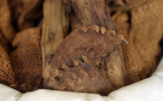 PERU-ARCHAEOLOGY-PURUCHUCO