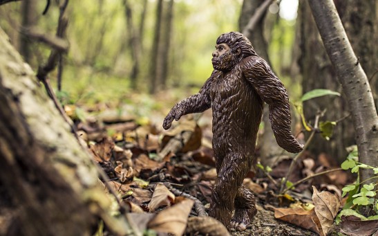 Woman Claims She Caught in Camera a Real-life Bigfoot Sneaking In Her Ranch; Do They Really Exist?