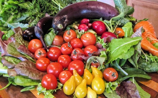 Mediterranean Diet Linked to Improved Chances of Conception Among Couples Struggling Infertility