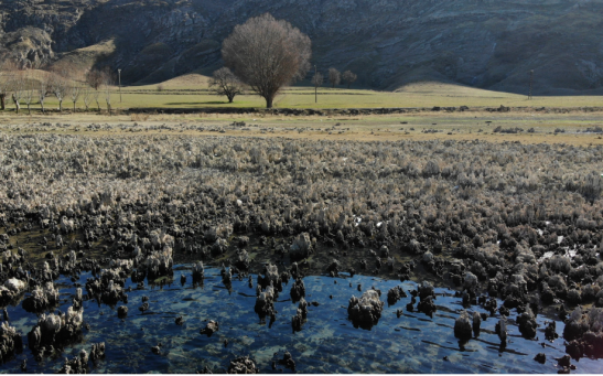 A view of microbialites in Lake Van that emerged from the bottom due to the decline in water levels, in Van, eastern Türkiye,