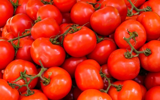 Tomatoes
