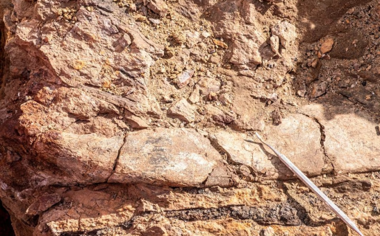 A view of a fossil at the area where scientists discovered megaraptor fossils at 'Guido' hill in the Chilean Patagonia area, close to Torres del Paine park, in Magallanes and Antarctic region, Chile.