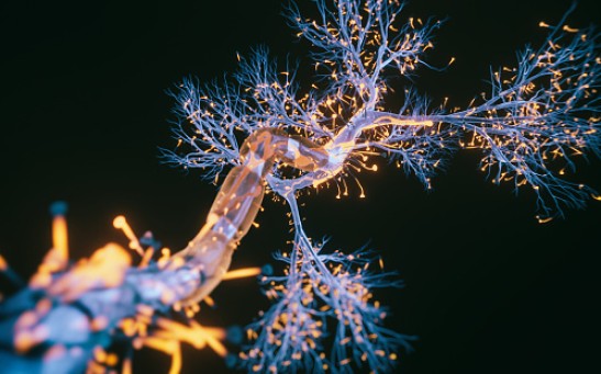 Neuron cell close-up view - 3d rendered image of Neuron cell on black background. SEM view interconnected neurons synapses. Abstract structure conceptual medical image. Synapse. Healthcare concept.