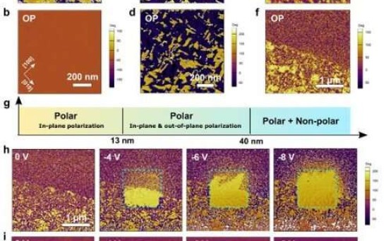 Piezoresponse force microscopy (PFM) of emergent ferroelectricity and phase coexistence in NaNbO3 membranes. Lateral and vertical PFM phase images obtained for a) and b) 13 nm, c) and d) 40 nm, and e) and f) 100 nm thick membranes, respectively. g)