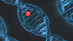 VEXAS Syndrome Prevalence: Mysterious Illness Affecting Thousands of People in the US Has High Mortality Rate