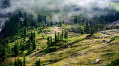 Earth's Landscape