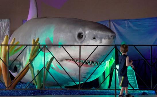 Large Scale Animatronic Dinosaur Exhibit Opens In Fort Lauderdale