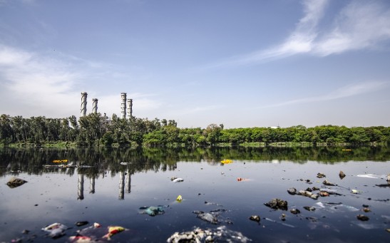 Reusable Metal-Absorbing Sponge Coated With Nanoparticles Aids in Removing Heavy Metals From Water