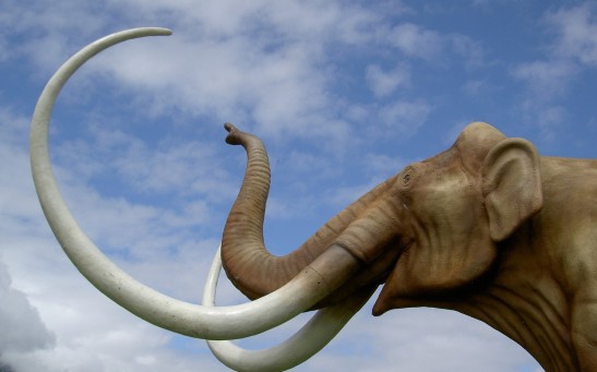 Mammoth