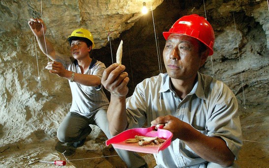 (CHINA OUT) Chinese scientists show unea