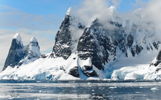 DNA Analysis of 2 Geographically Separated Octopus Populations Reveals History, Issues Grave Warning About Antarctica