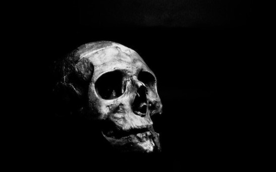 8.7-Million-Year-Old Ape Skull Found in Turkey Suggests Human Ancestors Evolved in Europe Not Africa