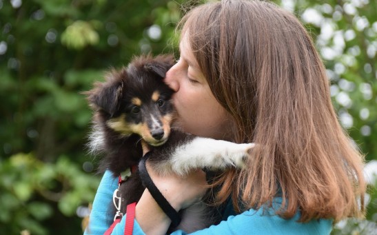 Is Kissing Your Pet Safe or a Potential Health Risk? Exploring Diseases That Humans May Get From Their Beloved Furry Companions