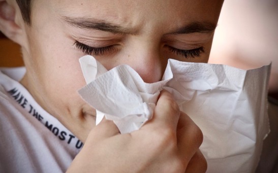 Are Paper Tissues Better Than Handkerchiefs? An Analysis of Infection Prevention and Environmental Impact