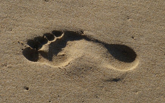 human footprint
